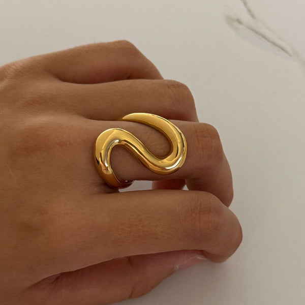 Stainless steel geometric ring