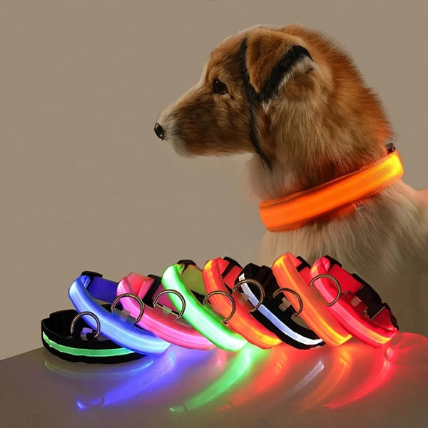 Nylon LED Night Flashing  Dog Leash